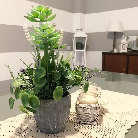 公寓 La Dimora Nel Centro *